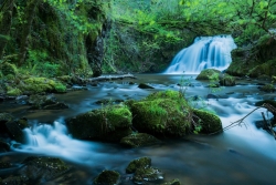 Cascade de MUREL -