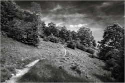 Photo inscription n°1