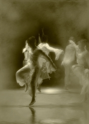 l'envol (re)