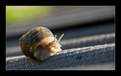 A pleine vitesse...