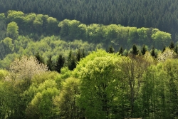 JURA.