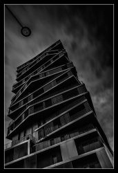 Noirs VIII