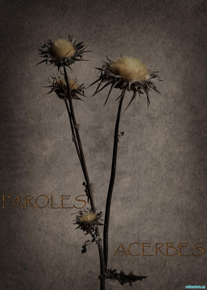 Paroles acerbes