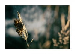 Profiter des derniers rayons
