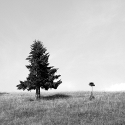 Photo inscription n°2