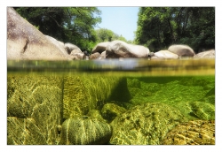 Toujours plus de verts pour ce sous l'eau !