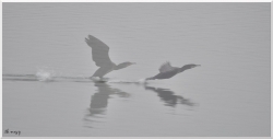 montage au decollage