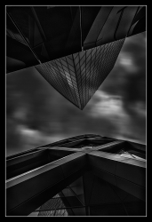 Noirs XI
