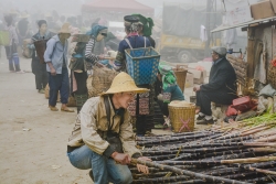 Marché émergeant de la brume ( x2 )