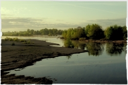 Bord de Loire