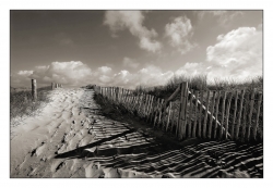 Ce petit chemin ,  qui sent ...