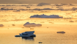 Iceberg