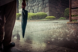 Orage tokyoite