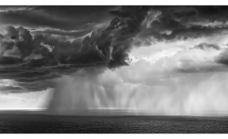 Rideau de douche