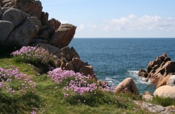 Photo inscription n°2