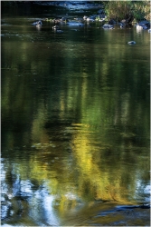au fil de l'eau