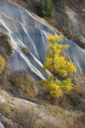 Le "Colorado altiligérien"