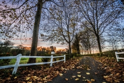L'automne au domaine.