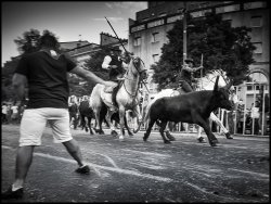 Feria d'Arles..