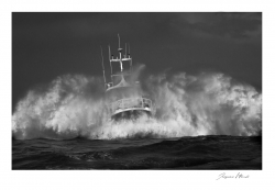 Dans la houle de l'Atlantique
