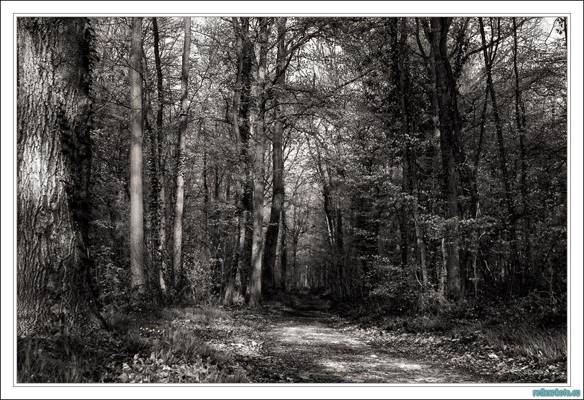 En route vers le Printemps...