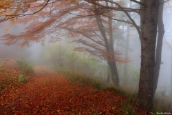 Le chemin de couleur