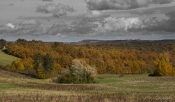 Dernières couleurs d'automne en Périgord.