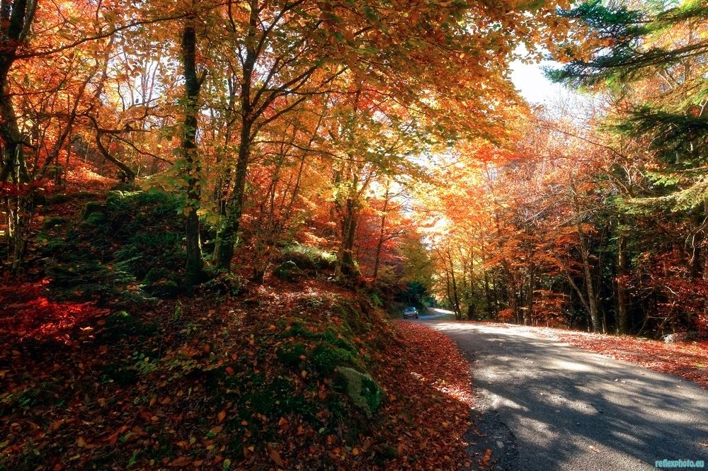 Route sous l'été indien creusois