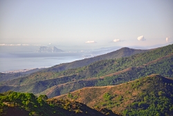 Le rocher de Gibraltar vu depuis la Sierra de Ronda