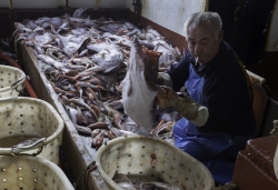 Grand Large - le poisson