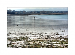 Le promeneur de la plage