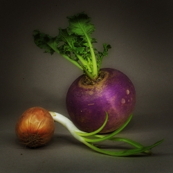 petite soupe à venir