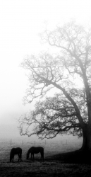 Photo inscription n°2