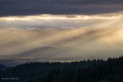 lumière
