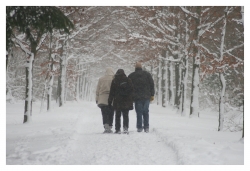 Brume de neige...
