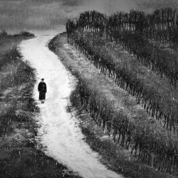 Un hivers dans les vignes...
