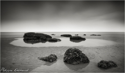 Plage des vaches noires