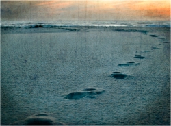 ... Les vagues vous diront...