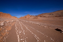 Desertique