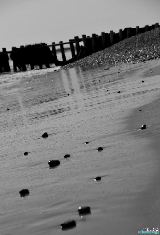 Photo inscription n°2