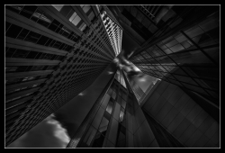 Noirs III
