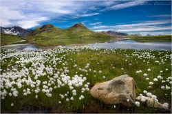 Grand lac des Estaris