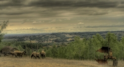 HDR : lous moutouns