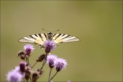 décollage en périgord