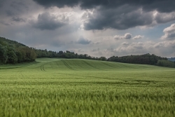 La lueur