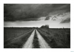 Le chemin