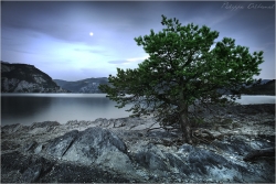 Ecoute la lune...