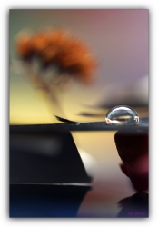 Goutte à goutte