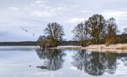 Lac de Géraudot, de Nono de 3 : 14 points (2 votes)