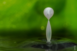 Du lait et de l'eau